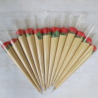 한송이 카네이션 12p, 레드, 12개