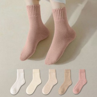 Dainic 女款彩色羊毛刷毛襪 5雙1組 DSW-6