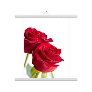 室內裝飾玫瑰E海報 + 木質掛軸組, 白色