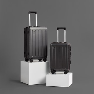 페스페스 모던하우스 . 파인 캐리어 세트 20인치+24인치