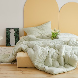 ARPEGGIO BASIC Happy Hip 柔軟蘭精莫代爾四季被, 蜜糖薄荷