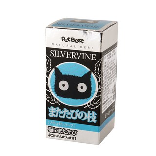 PETBEST 貓萬應藥/木天蓼【細枝】30入, 天然草本, 潔牙, 舒壓, 貓咪零食, 蟲癭果, 40g, 1個
