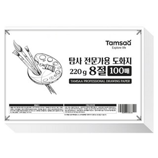 Tamsaa 專業用畫紙 220g 100張, 1個
