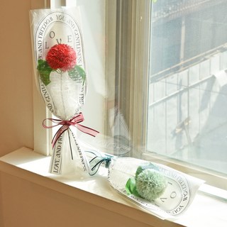 아스파시아 비누꽃 클레오 퐁퐁 카네이션 한 송이 꽃다발 2종 + 메세지픽 2p + 쇼핑백 2p 세트, 레드 + 민트, 1개