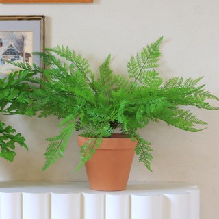 ScentBasket 人造常綠蕨類盆栽組 L, 1個, 蕾絲蕨