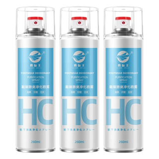 鷹標王 鞋襪除臭噴霧 薄荷海洋味, 260ml, 3瓶