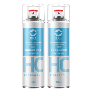 鷹標王 鞋襪除臭噴霧 薄荷海洋味, 260ml, 2瓶