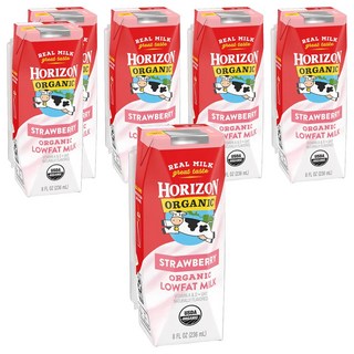 HORIZON ORGANIC 有機低脂草莓牛奶/調味保久乳, 6入, 236ml