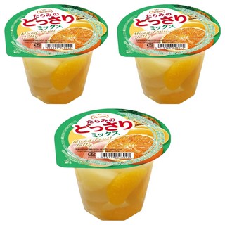 Tarami 達樂美 果凍杯 什錦水果 230g (蜜柑、白桃、黃桃、鳳梨), 3個