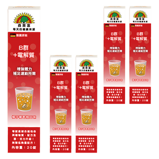 SUNLIFE 森萊富 B群+電解質發泡錠 橘子葡萄柚口味, 20顆, 4g, 5盒