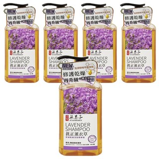 SOAPBERRY 古寶無患子 薰衣草洗髮精華露 舒緩乾燥適用, 450g, 5瓶
