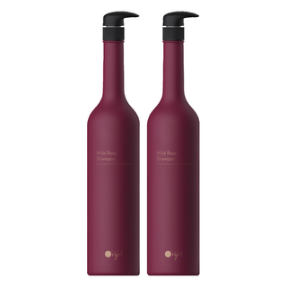 O'right 歐萊德 曠野玫瑰 洗髮精 彈性潤澤 深層保濕 染後鎖色 預防暗沉, 1L, 2瓶