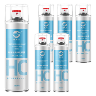 鷹標王 鞋襪除臭噴霧 薄荷海洋味, 260ml, 6瓶