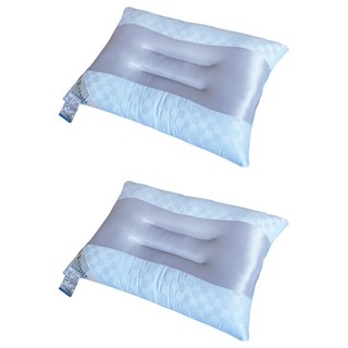 victoria 維多麗亞 涼感止鼾透氣枕, 藍色, 2個