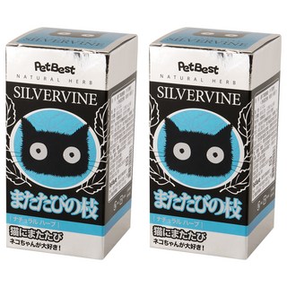 PETBEST 貓萬應藥/木天蓼【細枝】30入 - 天然貓咪零食 幫助放鬆心情, 蟲癭果, 40g, 2個