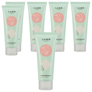 tsaio 上山採藥 青柚籽深層洗顏乳 100g 平衡肌膚油脂 草本菁萃 喚膚潤澤, 6條