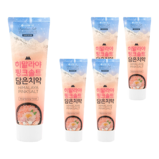 LG 生活健康 喜馬拉雅粉晶鹽牙膏，去除牙菌斑 預防蛀牙 花香薄荷 亮白牙齒, 100g, 5條