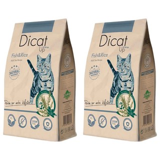 Dicat Up 成貓用 烘培益生貓糧 2包, 300g, 多種魚 + 米, 西班牙原裝進口, 腸胃道保健