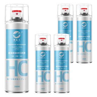 鷹標王 鞋襪除臭噴霧 薄荷海洋味, 260ml, 5瓶