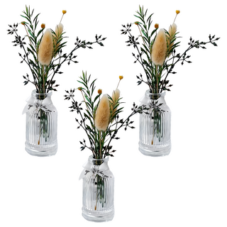 SC優選 植物精油 ins北歐乾燥花無火香薰擺飾 威斯汀白茶 50ml, 3瓶