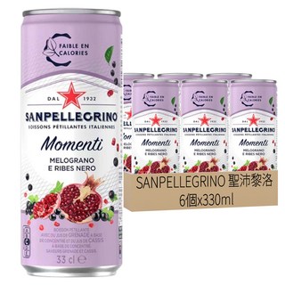 SANPELLEGRINO 聖沛黎洛 氣泡水果飲料 石柳黑加侖口味, 330ml, 6個
