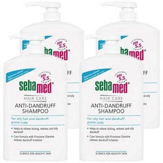 施巴 油性抗屑洗髮乳 pH5.5 微酸呵護 活性Piroctone Olamine抑菌成分 深層清潔配方 乳酸鈉+甘油高保濕, 1L, 4瓶