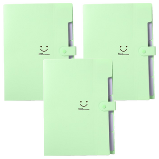 Aster 5格風琴文件夾 綠色, 3個