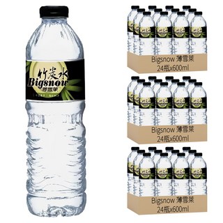 Bigsnow 薄雪萊 竹炭水, 600ml 24瓶, 72瓶