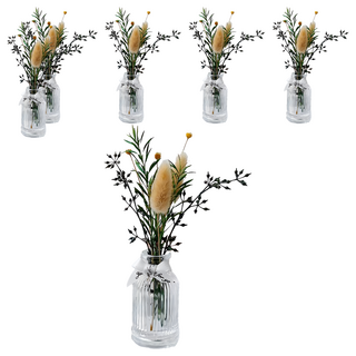 SC優選 植物精油 ins北歐乾燥花無火香薰擺飾, 威斯汀白茶, 50ml, 6瓶