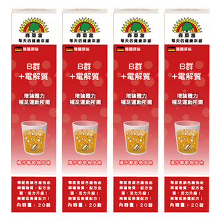 SUNLIFE 森萊富 B群+電解質發泡錠 橘子葡萄柚口味, 20顆, 4g, 4盒
