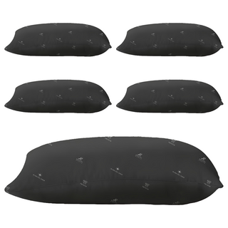 DeKo 岱珂 石墨烯除臭機能壓縮枕,5個,75 x 45cm,混和顏色，石墨烯纖維材質，提供卓越的舒適感和支撐力, 黑色