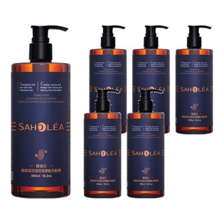 SAHOLEA 森歐黎漾 質進化咖啡因涼感控油健髮洗髮精, 480ml, 6瓶