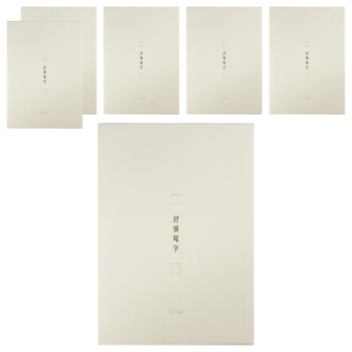 conifer 綠的事務 A4習字計畫 習慣寫字 田字格, 白練色, 6本