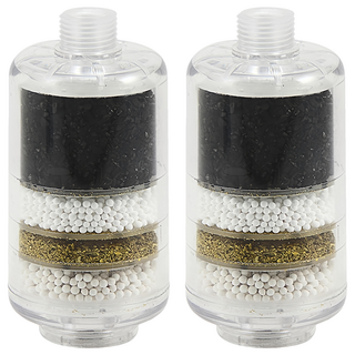 SHCJ 生活采家 交叉導水家庭型淋浴用除氯過濾器 尺寸清晰, 無味, 2個