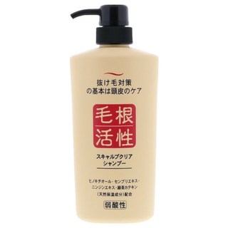 JUN COSMETIC 純藥 毛根活性洗髮精 一般款 550ml，草本萃取，滋養頭皮，強健髮根, 1瓶