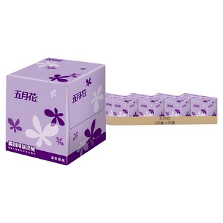 五月花 面紙 直立式, 1入, 120盒