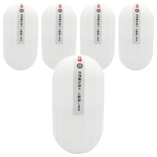 TAMURA 馬桶清潔魔瓶, 5個, 250g
