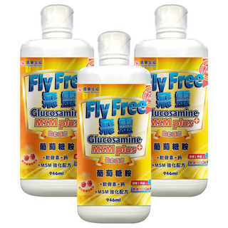 信東生技 飛靈葡萄糖胺液, MSM強化配方, 西印度櫻桃風味, 946ml, 3瓶
