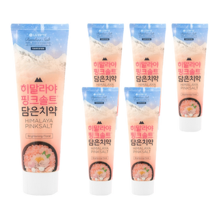 LG 生活健康 喜馬拉雅粉晶鹽牙膏，去除牙菌斑 預防蛀牙 花香薄荷 亮白牙齒, 100g, 6條