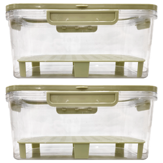 手提密封保鮮盒 PET+ABS+PP材質 寬提把 靈活卡扣 雙層分格, 25 x 16.5 x 11.5cm 胡克綠, 2個
