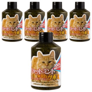 PETBEST 健康彩食-貓咪天然草本零食 舒緩情緒增進食慾, 貓薄荷草, 31g, 5入