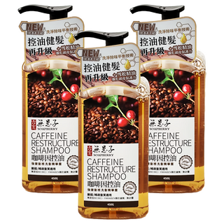 SOAPBERRY 古寶無患子 咖啡因健髮洗髮精華露, 控油調理, 添加花水與植物精油, 不含矽靈/皂鹼/酒精/礦物油, 450g, 3瓶