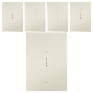 conifer 綠的事務 A4習字計畫 習慣寫字 田字格, 白練色, 5本