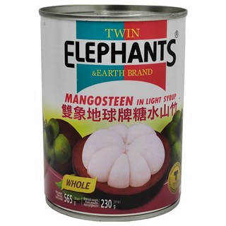 TWIN ELEPHANTS 雙象地球牌 糖水山竹, 565g, 1罐