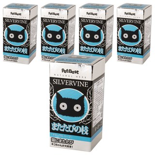 PetBest 貓萬應藥 木天蓼細枝30入 , 貓咪潔牙零食, 天然舒壓玩具, 蟲癭果, 40g, 5個