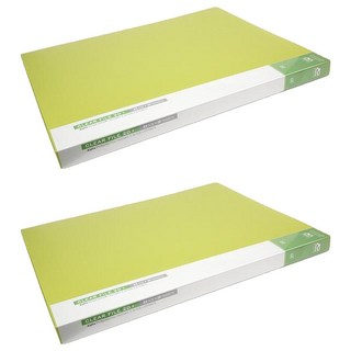 Alpha 彩色透明索引文件夾 A3 淺綠色, 2入