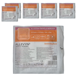 Smith Nephew 史耐輝 矽膠愛力膚敷料 12.5 x12.5cm, 6個