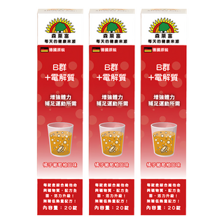 SUNLIFE 森萊富 B群+電解質發泡錠 橘子葡萄柚口味, 20顆, 4g, 3盒