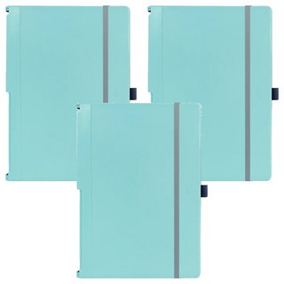 ABEL 力大牌 隨行摺疊板夾A4 66236 328 x 230 x 15.7mm, 湖綠色, 3個