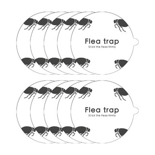 Reddot 紅點生活 多功能害蟲跳蚤誘捕燈 捕蚤片 10片, 128g, 1包